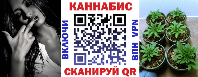 наркота  Фатеж  Каннабис марихуана 